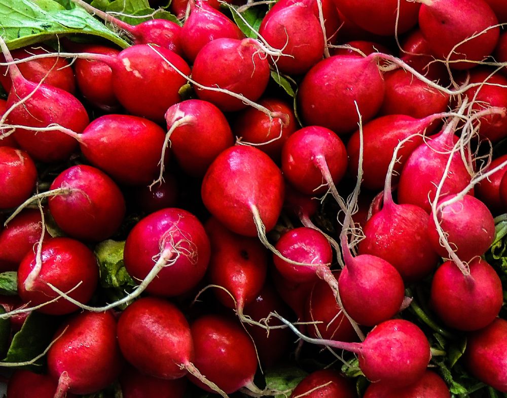 7 Alasan Kenapa Anda Harus Sering Makan Lobak Merah